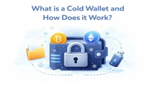 What is a Cold Wallet and How Does it Work?